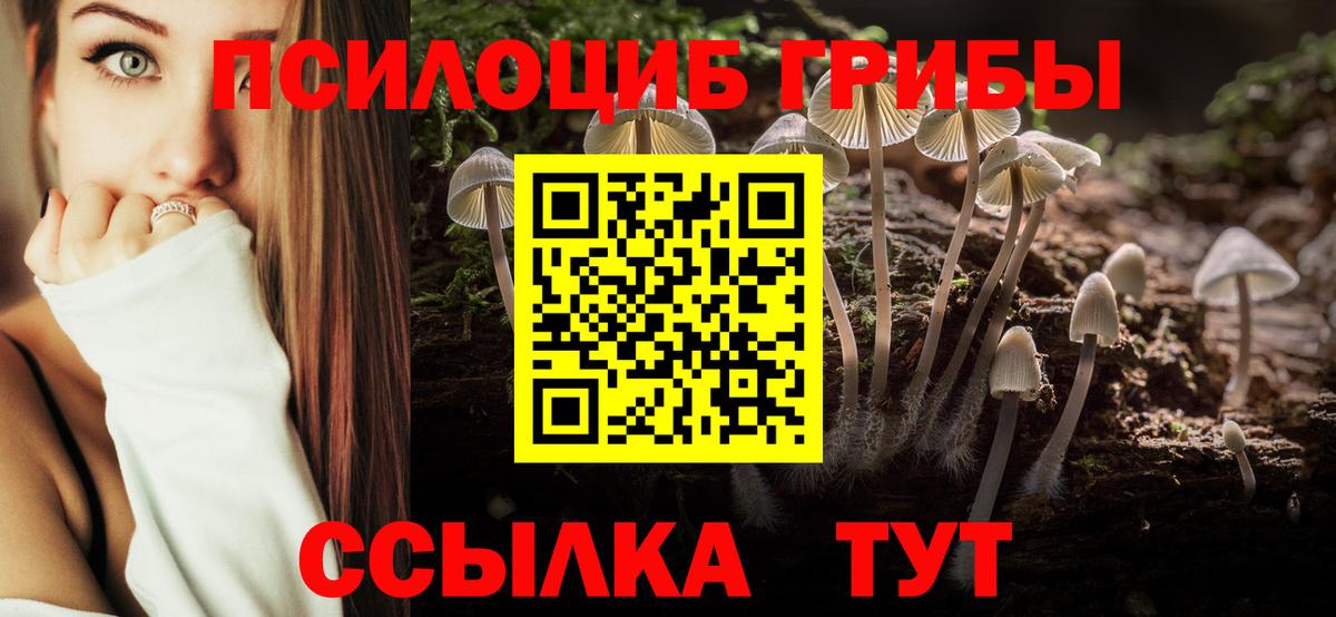 Псилоцибиновые грибы прущие грибы  Галлюциногенные грибы Psilocybine cubensis  Клинцы  Вход с VPN 